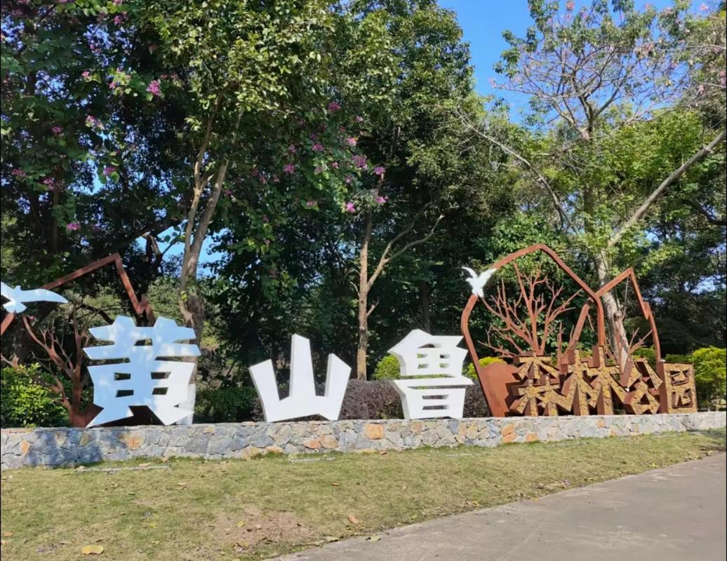 黄山鲁亲子自然行—— 广东省南粤公益基金会以公益之力 赋能生态文明教育