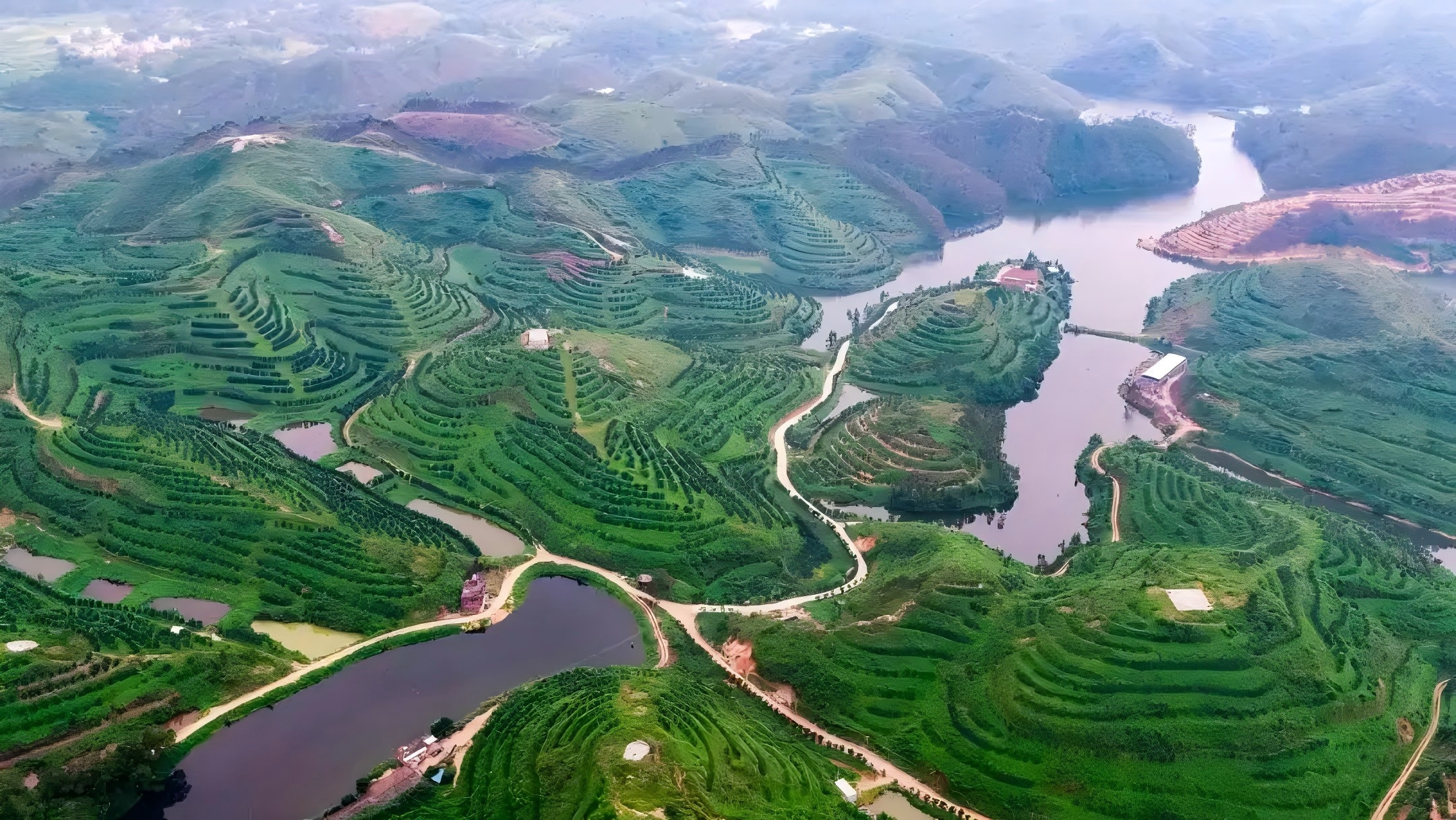 广东稳居全国最 “绿” 省份  公益助力生态守护